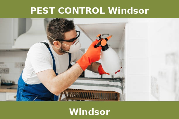 PEST CONTROL Windsor